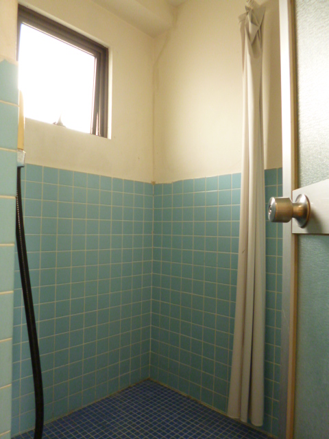 Bath. shower room