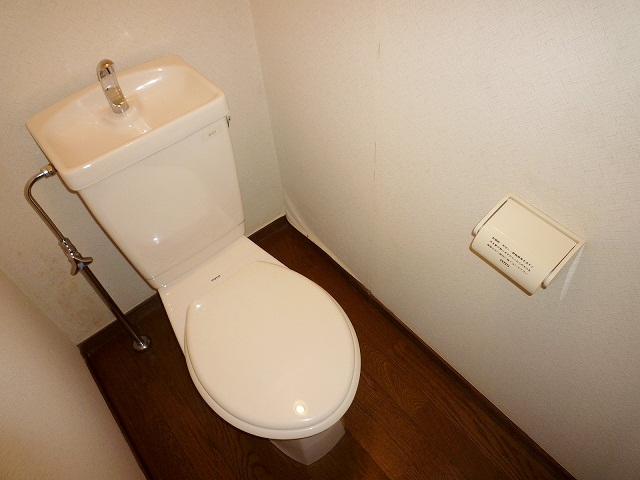 Toilet. Of course, Western-style toilet!