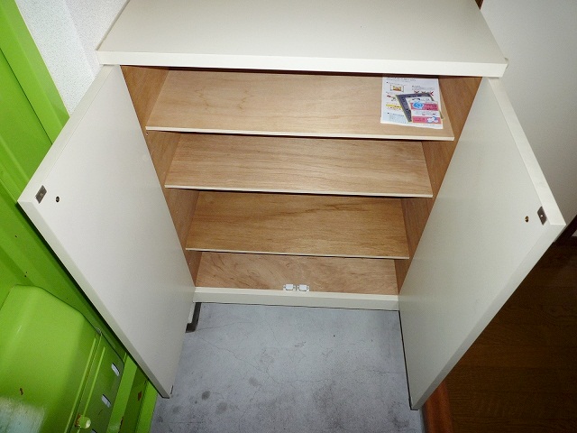 Entrance. Shoes is with a box!