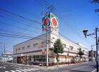 Supermarket. Taiyo Ginza store up to (super) 216m