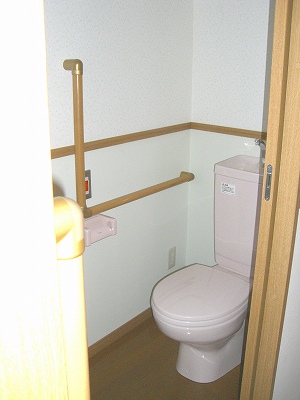 Toilet. Properly handrail also there is peace of mind.
