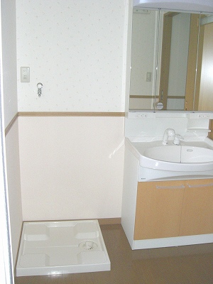 Other room space. Dressing room with a Laundry Area