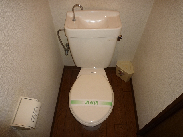 Toilet. Clean toilet looks comfortable