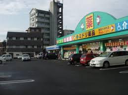 Drug store. Green chemicals Kanoya 1201m to Otemachi shop