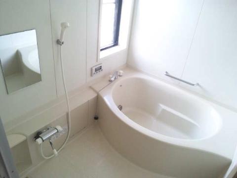 Bathroom. Bathtub also spacious