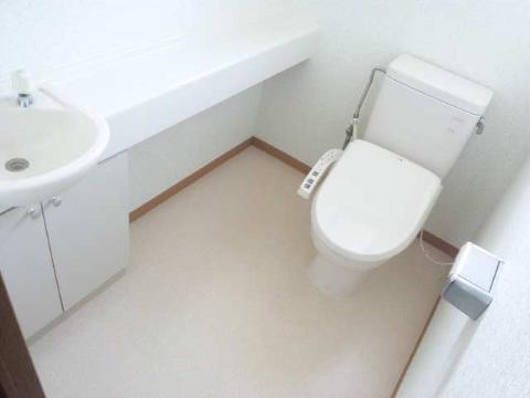 Toilet. WC counter