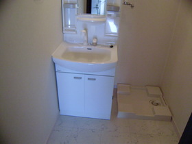 Washroom. Shampoo dresser