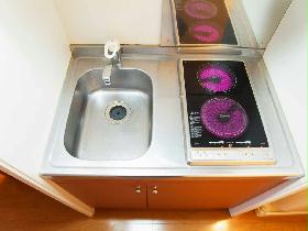 Kitchen. ※ There is also a plate type.