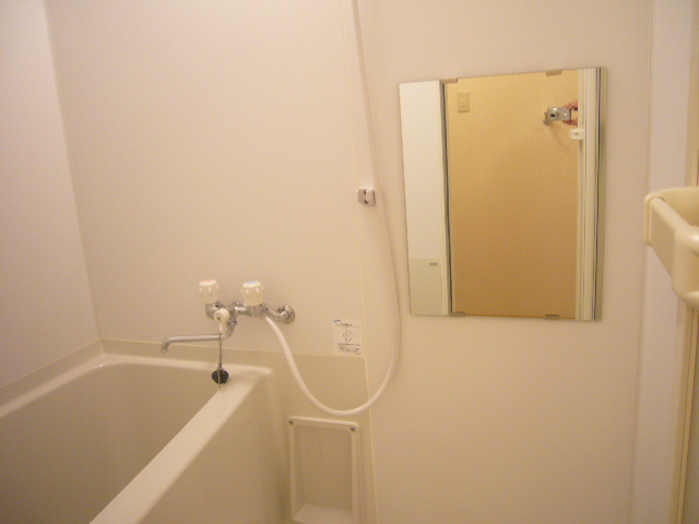 Bath. shower, Spacious bathtub with a mirror
