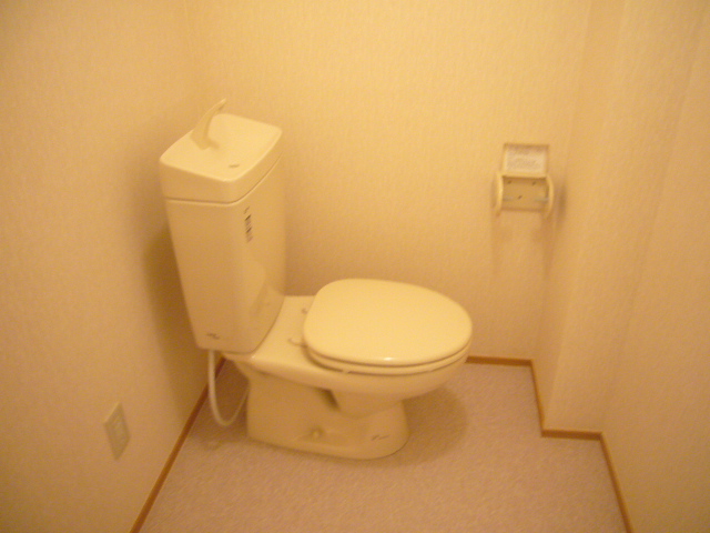 Toilet. Convenient there is also housed in the upper part