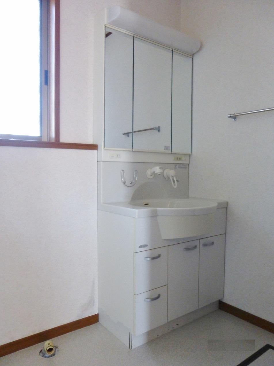 Wash basin, toilet. Wash basin with hand shower