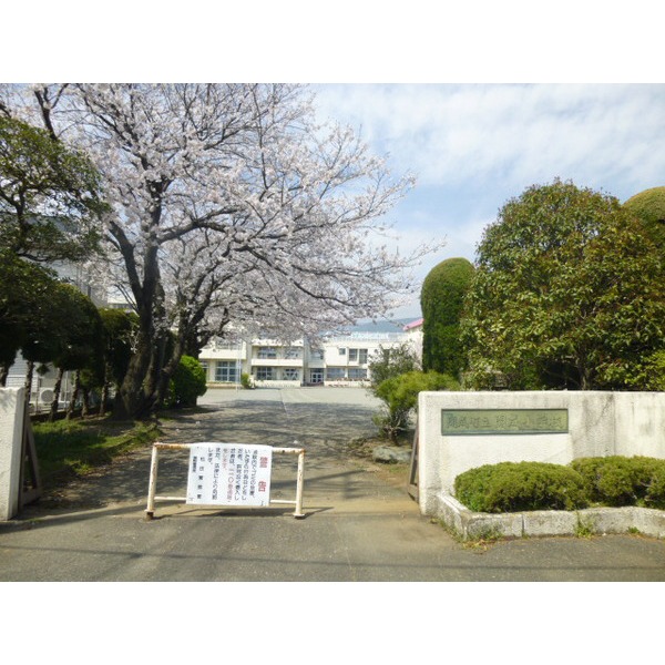 Primary school. 517m to Kaisei Municipal Kaisei elementary school (elementary school)