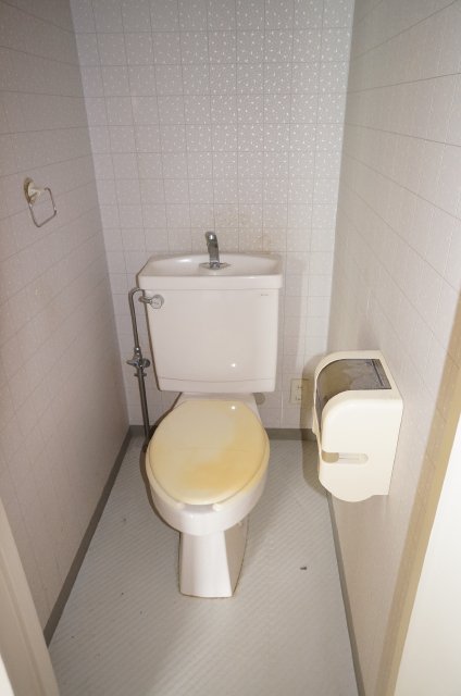 Toilet. Just also good size with simple!