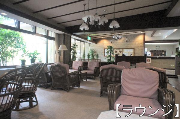 Other common areas. Lounge