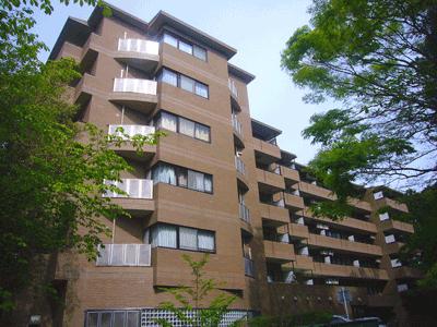 Local appearance photo. Nibankan appearance You full of luxury