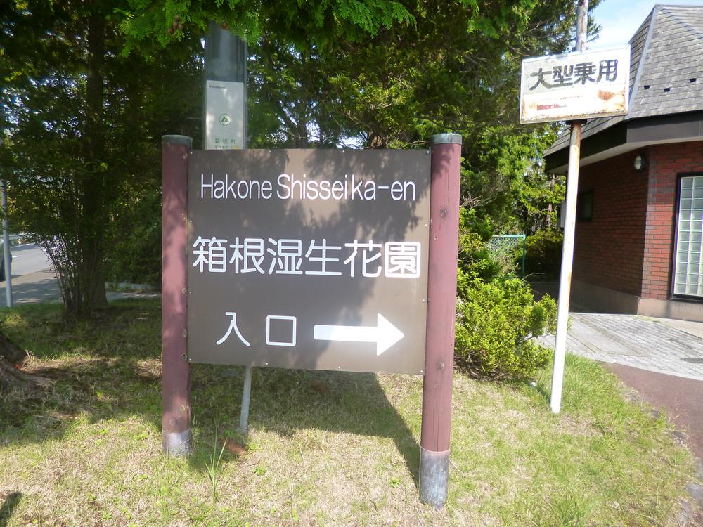 Other Environmental Photo. 1100m until the Hakone Garden wet raw