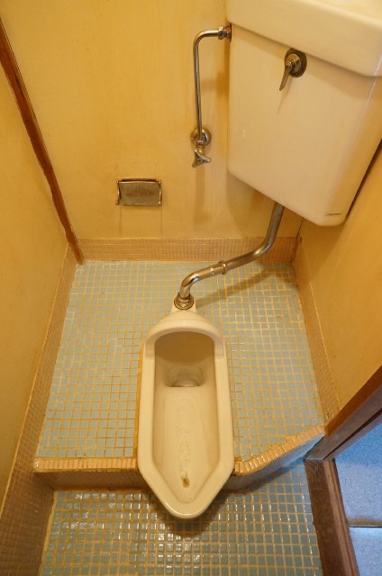 Toilet. It is tiled in the Japanese style