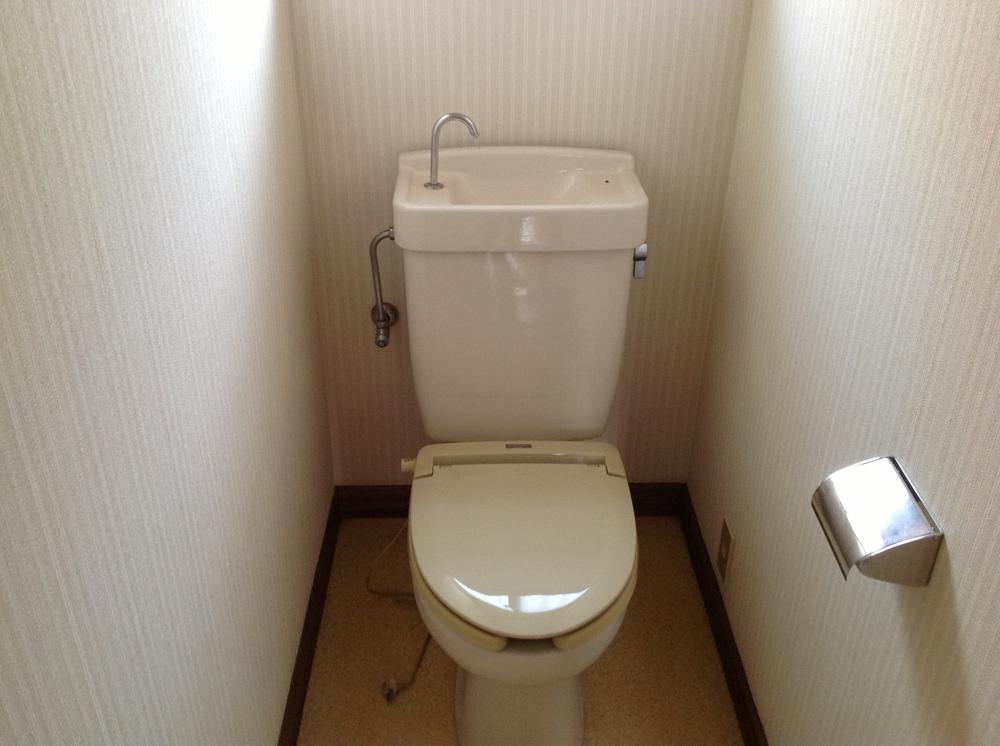 Toilet. Indoor (12 May 2012) shooting