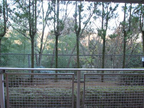 View photos from the dwelling unit