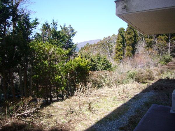 Garden. Here sell is say what "dedicated garden"