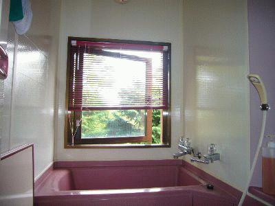 Bathroom. Here is the door-to-door hot spring bath