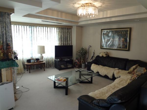 Living. Indoor (February 2012) Shooting