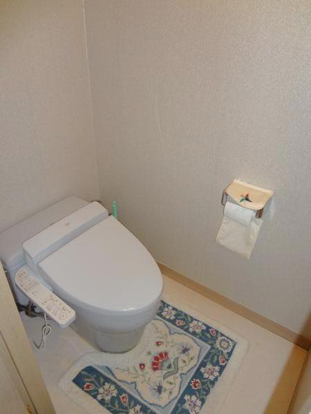 Toilet. Indoor (February 2012) Shooting