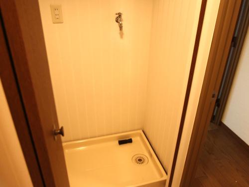 Other introspection. Laundry Area