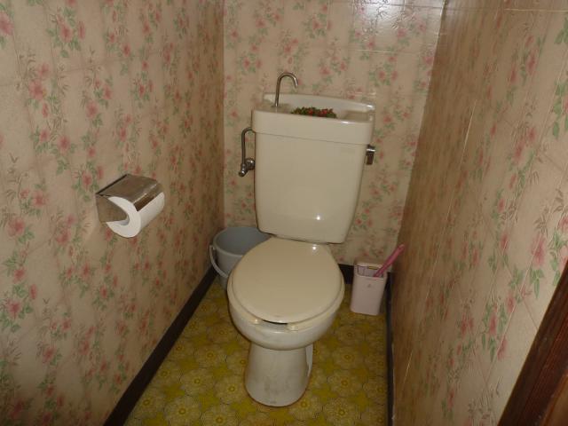Toilet. Toilet is very cute wallpaper