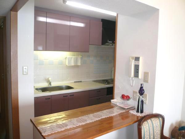 Kitchen. Indoor (June 2012) shooting