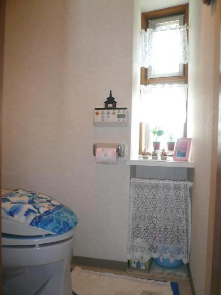 Toilet. Indoor (June 2012) shooting