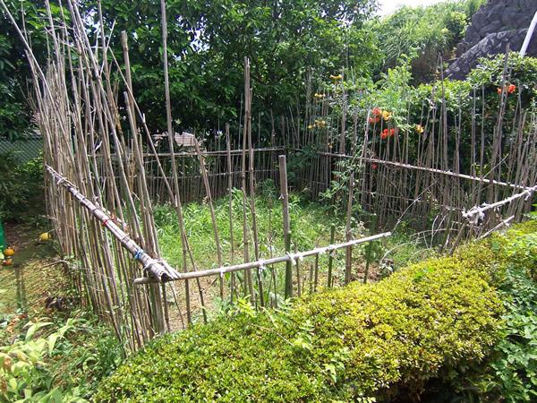 Garden. local