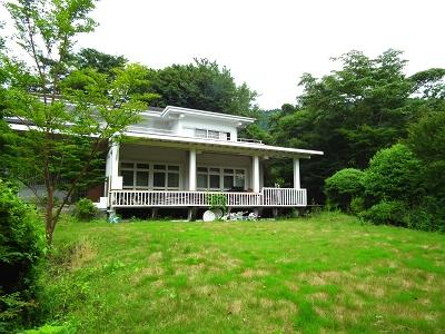 Local appearance photo. White and green of vivid contrast