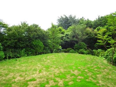 Garden. Garden of a flat lawn can be used to a variety of applications. It is very sunny garden
