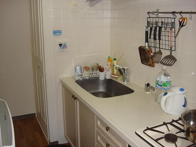 Kitchen. Indoor shooting