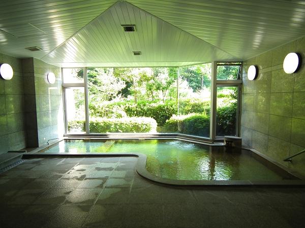 Bathroom. Hot Springs is a large bath. Out of the window it will have been wrapped in green.