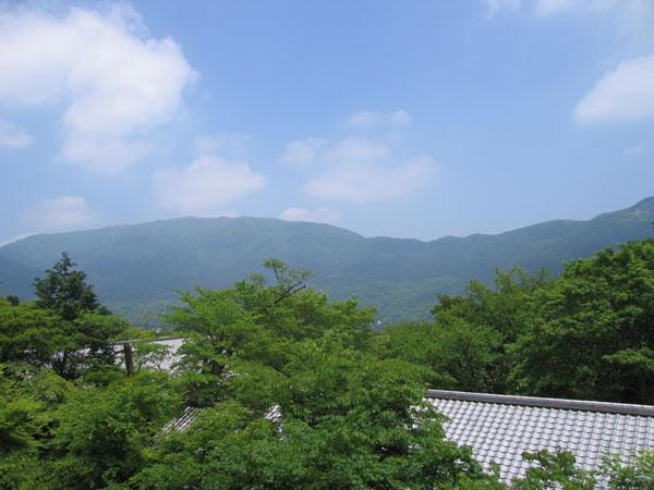 View photos from the dwelling unit. Is the view from the balcony. Hope case grilled, Also it looks fireworks on August 16 every year