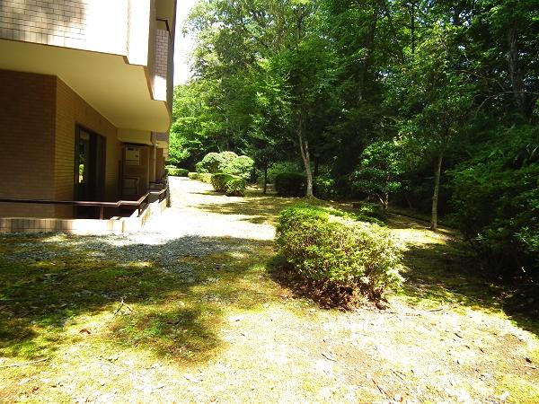 Other. Is the place make me forget the hustle and bustle of the city. It will stop time.