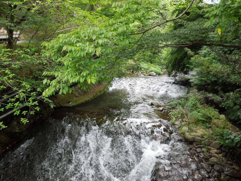 Other. Brook flows nearby.