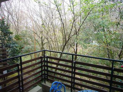 View photos from the dwelling unit. Is the view from the second floor balcony. You can enjoy to the full extent of the forest