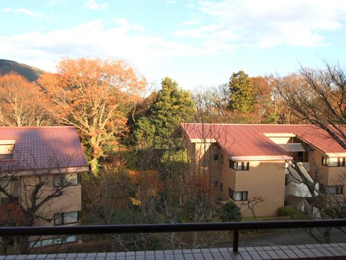 View photos from the dwelling unit. View from the balcony