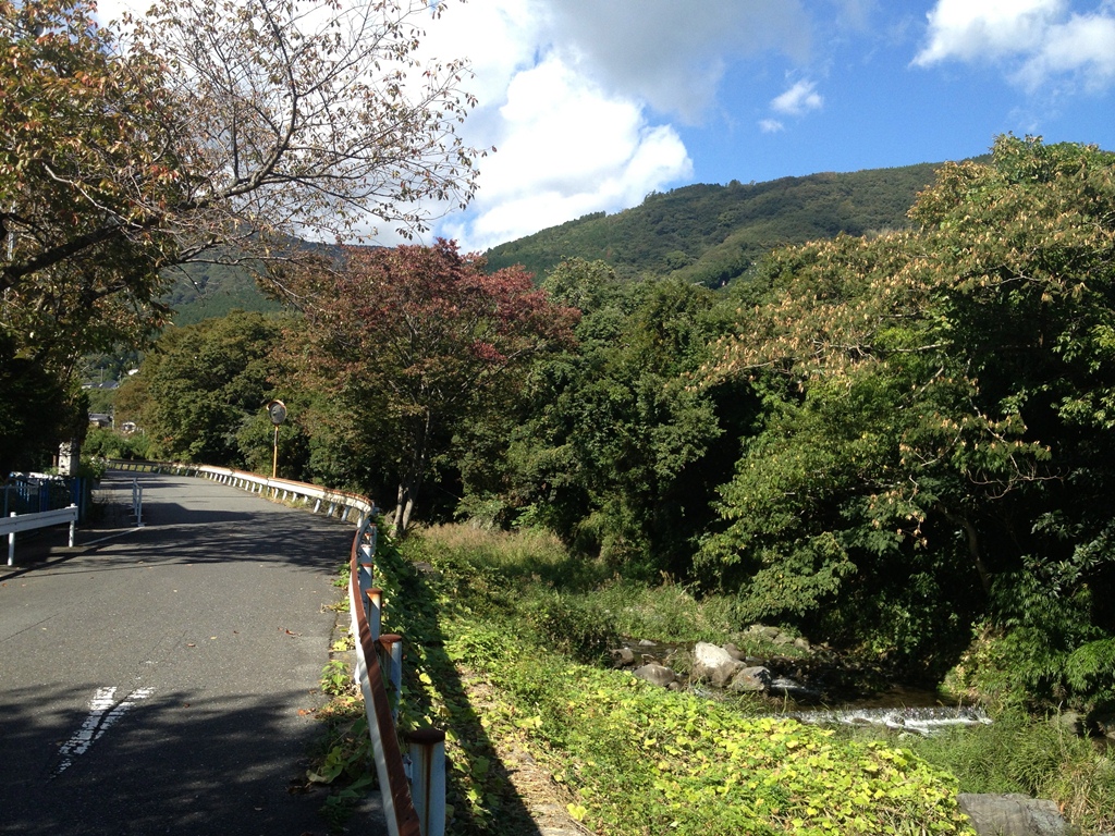 Other. 50m to Arasaki River (Other)