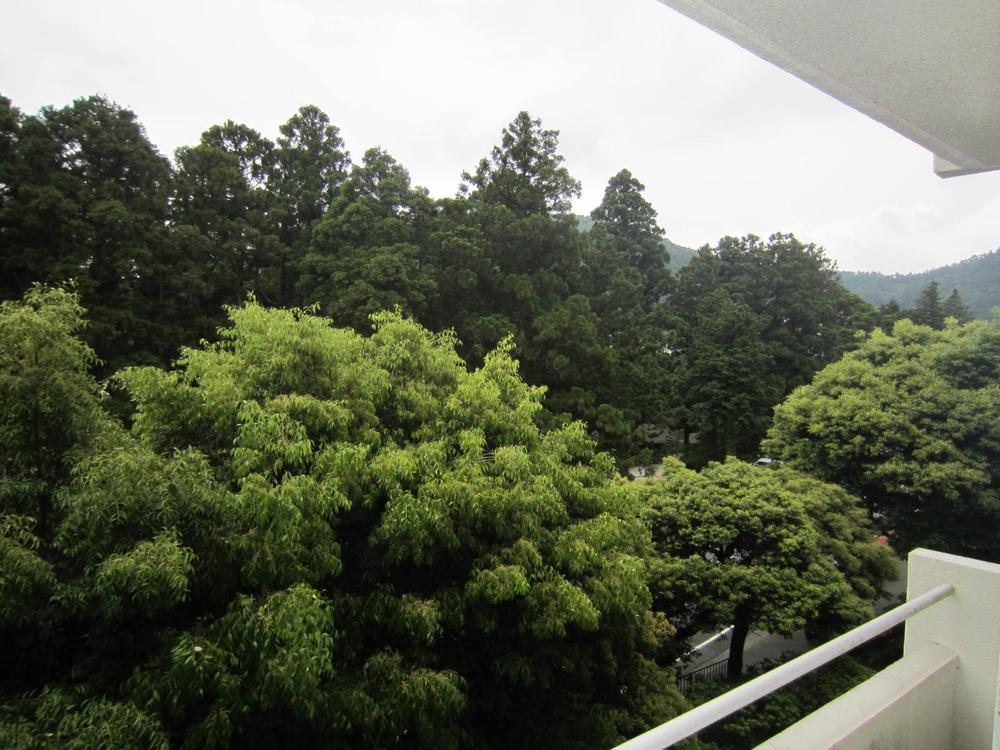 View photos from the dwelling unit