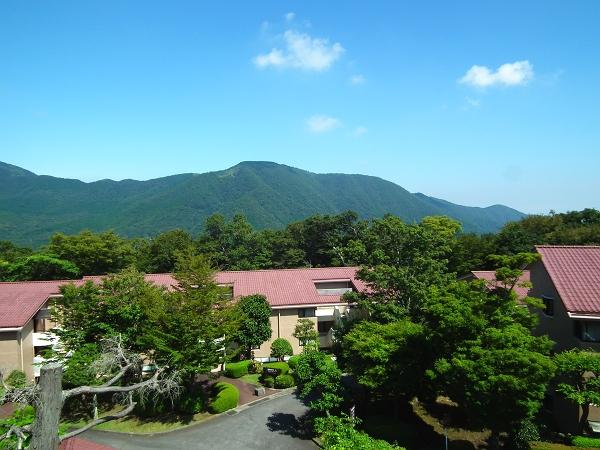 View photos from the dwelling unit. The top floor angle room with views of the upper case