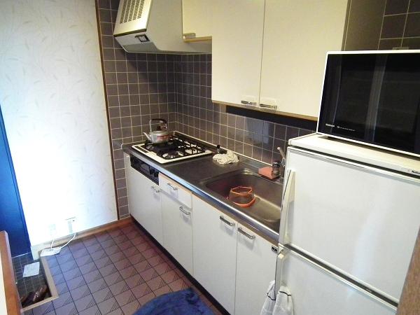 Kitchen. The kitchen is convenient to such trash is equipped with a back door.