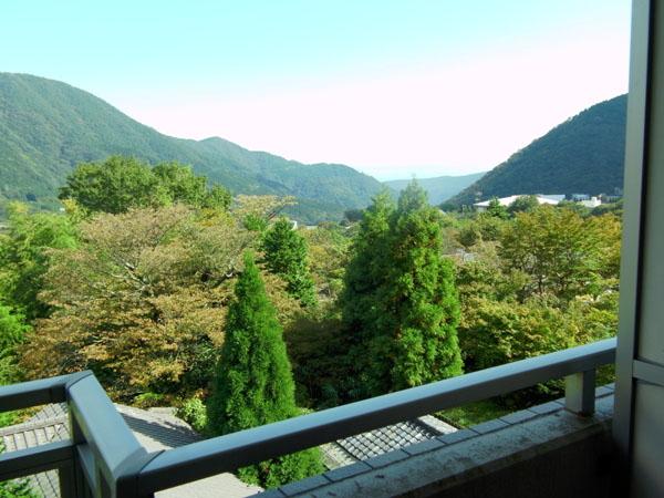 View photos from the dwelling unit. Sagami Bay is overlooking in the distance. Is the scarcity of the sea is visible in Hakone apartment.