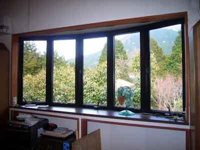 View photos from the dwelling unit. It is the east side of the bay window of the living room. Peripheral is healed hearts are wrapped in green.  