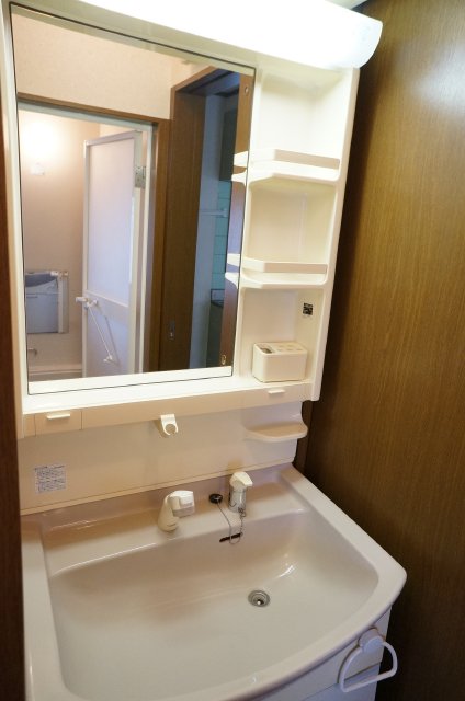 Washroom. Beautiful independent vanity