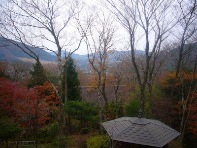 View photos from the dwelling unit. Is the view from the second floor balcony. In your garden, There is a pavilion