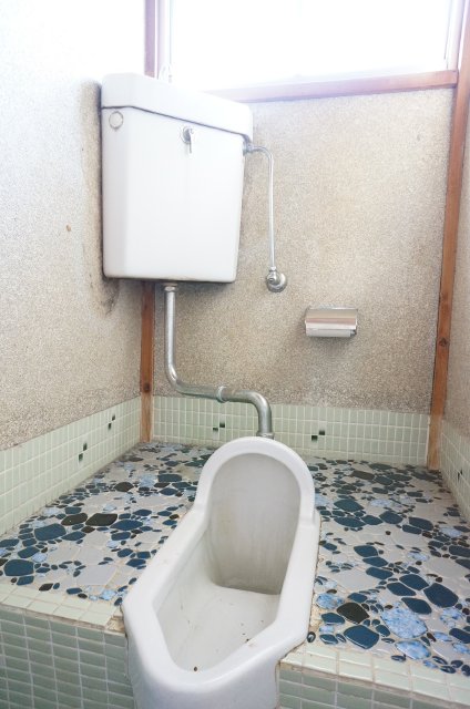 Toilet. Japanese-style toilet Tiled